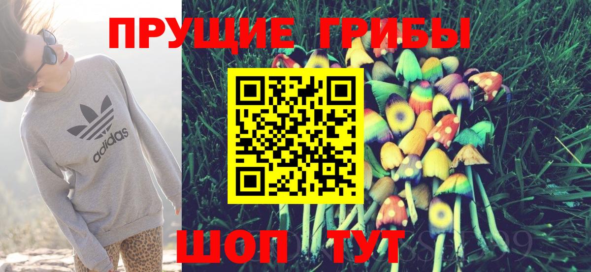 Галлюциногенные грибы Cubensis Ликино-Дулёво