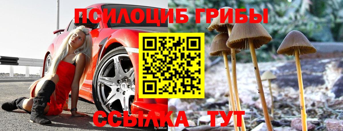 Галлюциногенные грибы ЛСД  Вход с VPN  Ликино-Дулёво  Галлюциногенные грибы GOLDEN TEACHER 